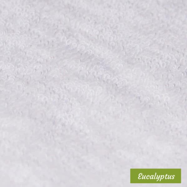 eucalyptus